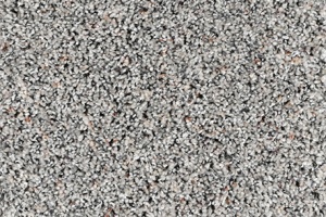 CAMELOT-3955