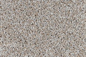CAMELOT-4071