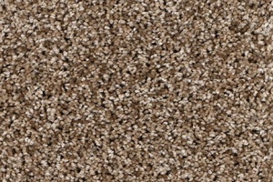 PROSPECT-3868