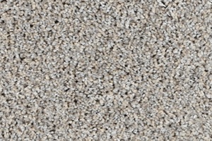 REGENCY-4013