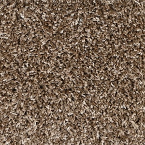BROOKSTONE-3878