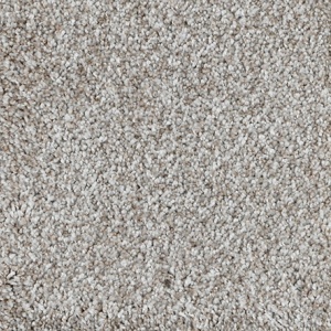 CAMELOT-3889
