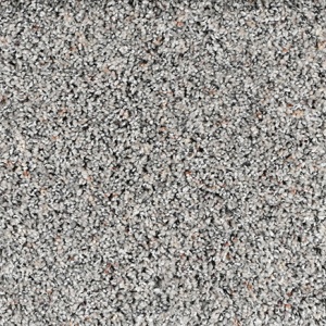 CAMELOT-3955