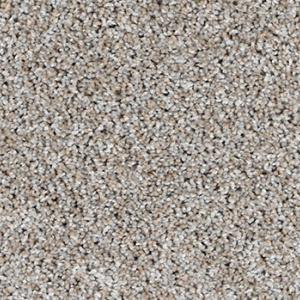 CAMELOT-4071