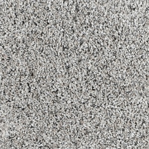 CAMELOT-4109