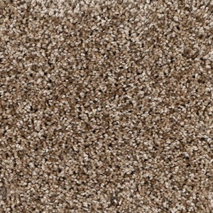 PROSPECT-3868