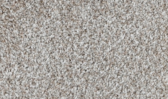 CAMELOT-3889