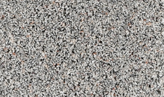 CAMELOT-3955