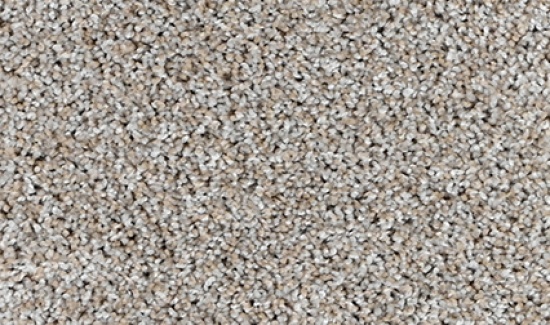 CAMELOT-4071