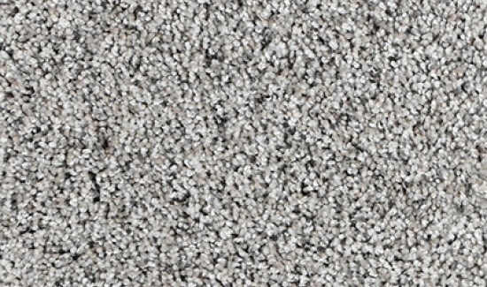 CAMELOT-4109