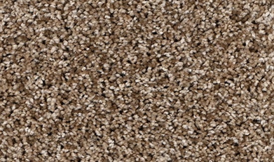 PROSPECT-3868